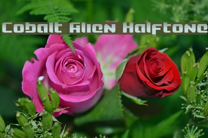 Cobalt Alien Halftone Font examples