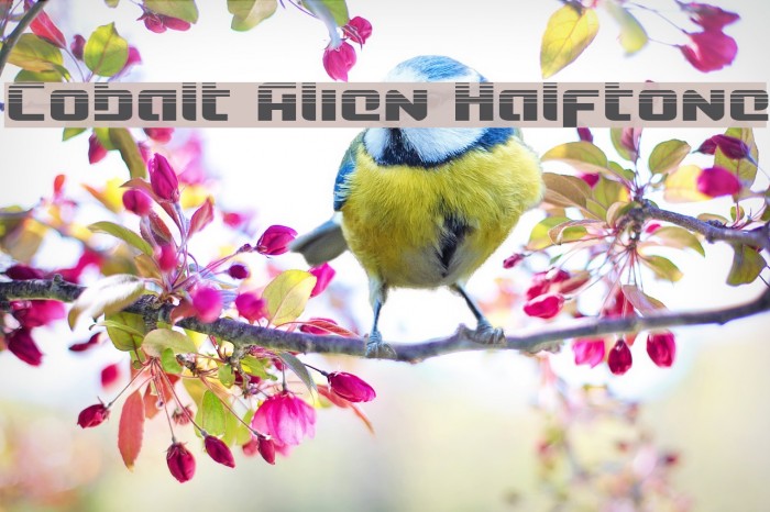 Cobalt Alien Halftone Font examples