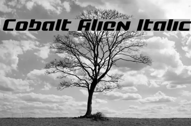 Cobalt Alien Italic Font examples