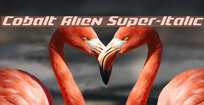 Cobalt Alien Super-Italic Example 2