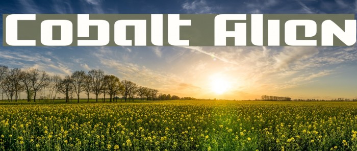 Cobalt Alien Example 2