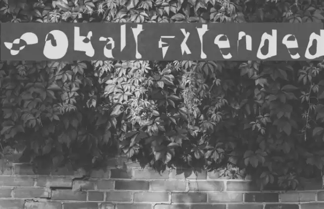 Cobalt Extended Font examples