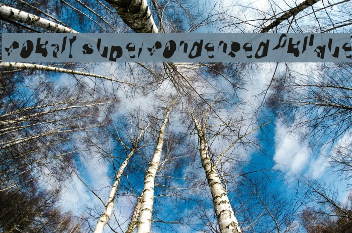 Cobalt SuperCondensed Oblique Font examples