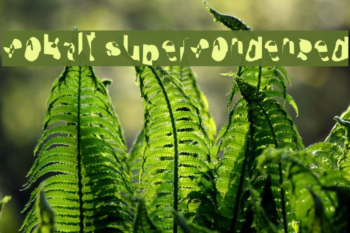 Cobalt SuperCondensed Font examples