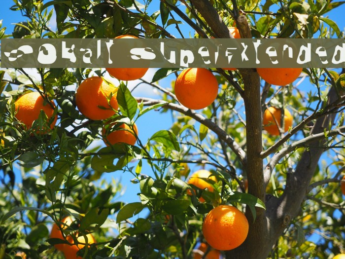Cobalt SuperExtended Font examples