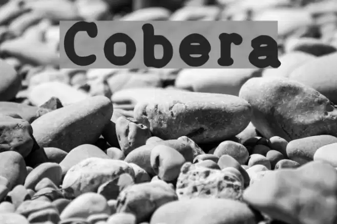 Cobera Font examples