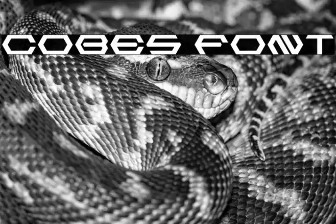 Cobes Font examples