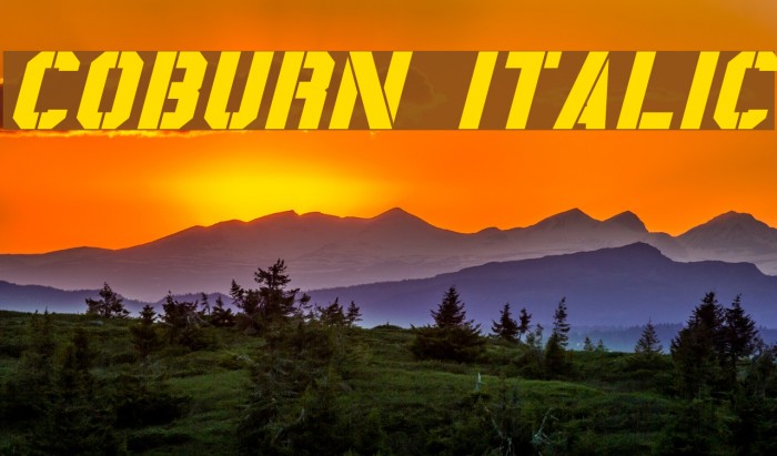 Coburn Italic Font examples