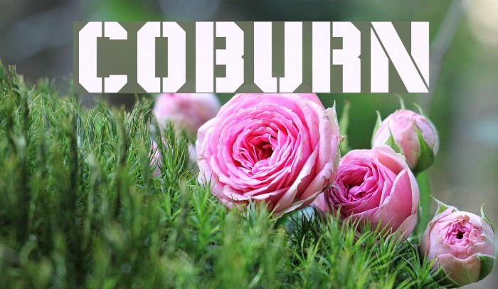 Coburn Font examples