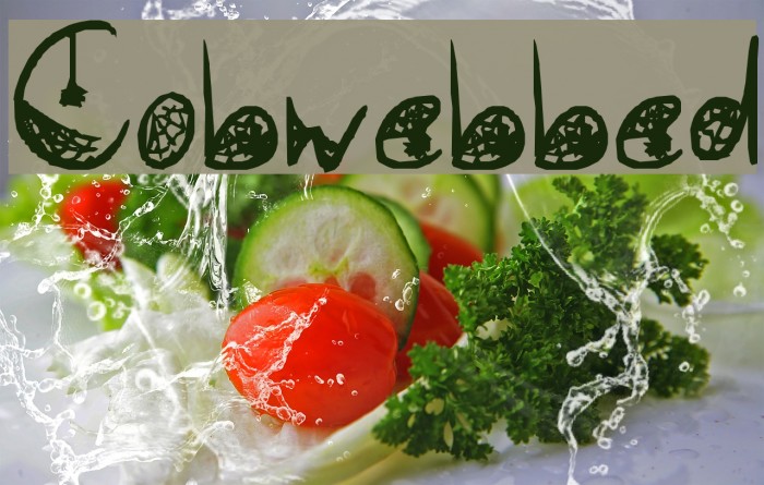Cobwebbed Font examples