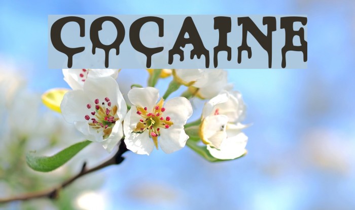 Cocaine Font examples