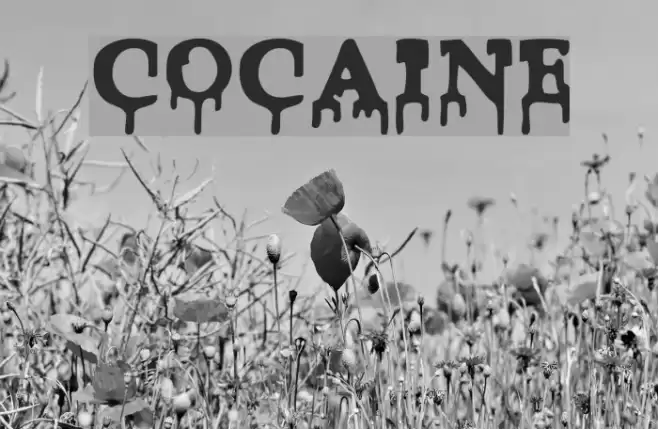 Cocaine Font examples