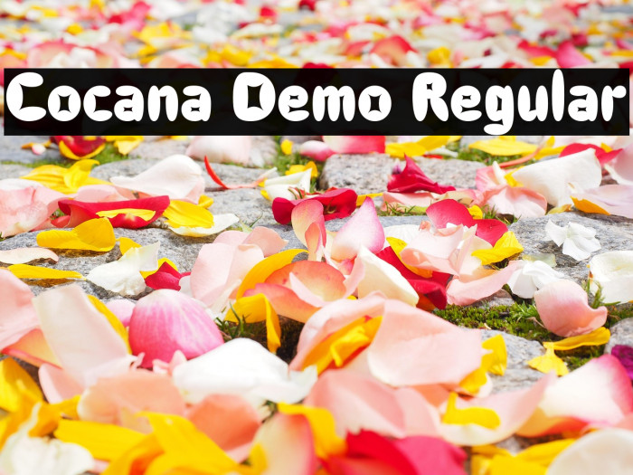 Cocana Demo Regular Example 1