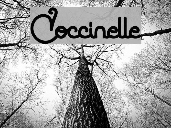 Coccinelle Font examples