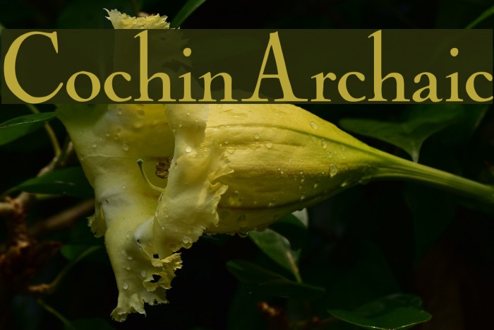 CochinArchaic Schriftart examples