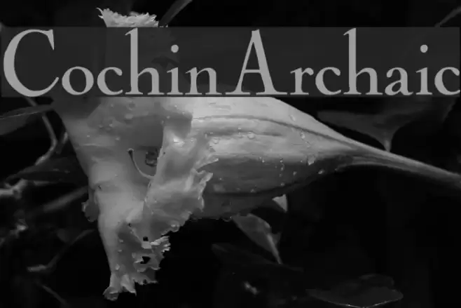 CochinArchaic Schriftart examples