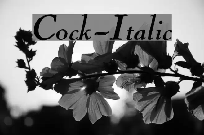 Cock-Italic Font examples