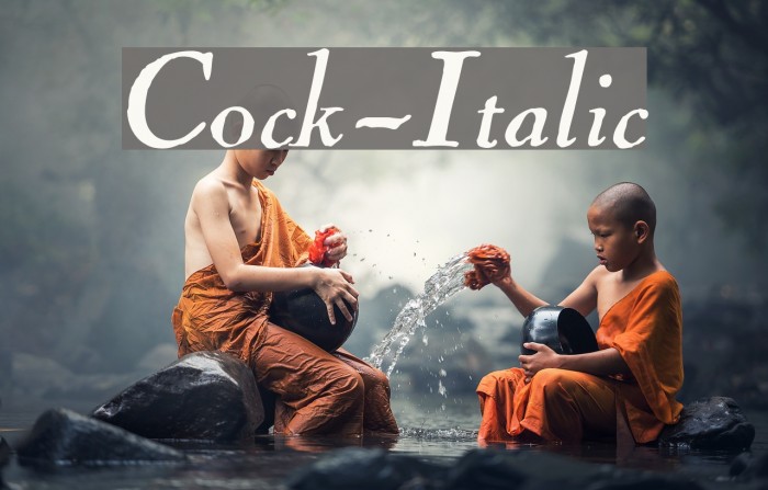 Cock-Italic Example 2