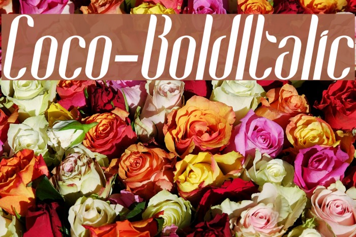 Coco-BoldItalic Font examples