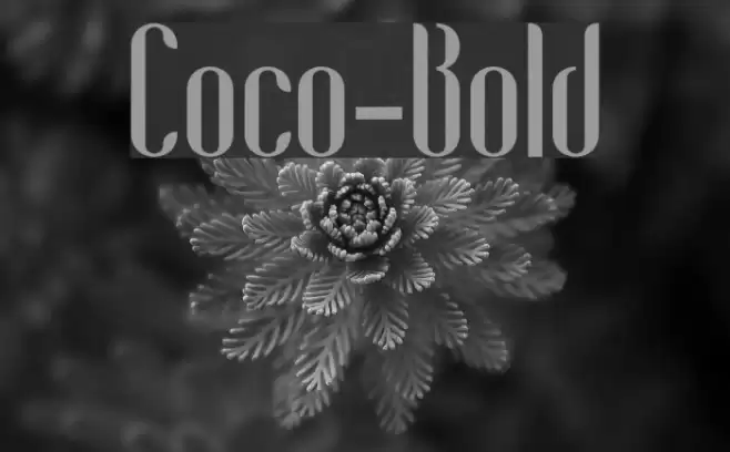Coco-Bold Font examples