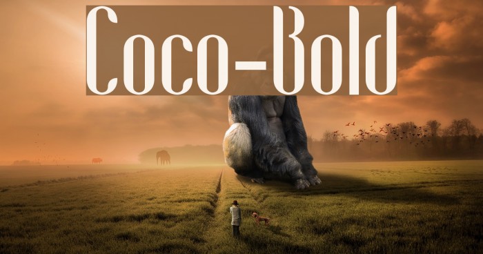 Coco-Bold Example 2
