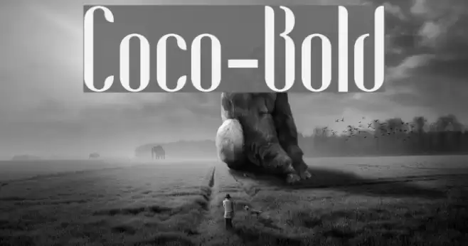 Coco-Bold Font examples