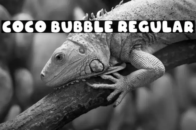 Coco Bubble Regular Polices examples