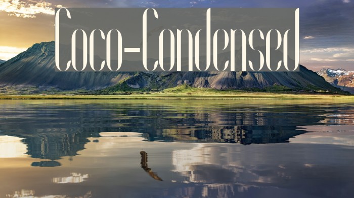 Coco-Condensed Example 2