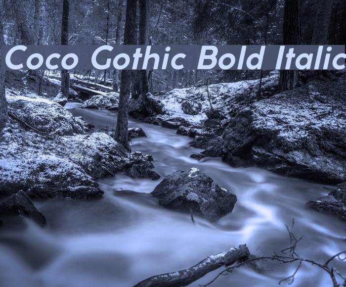 Coco Gothic Bold Italic Font examples