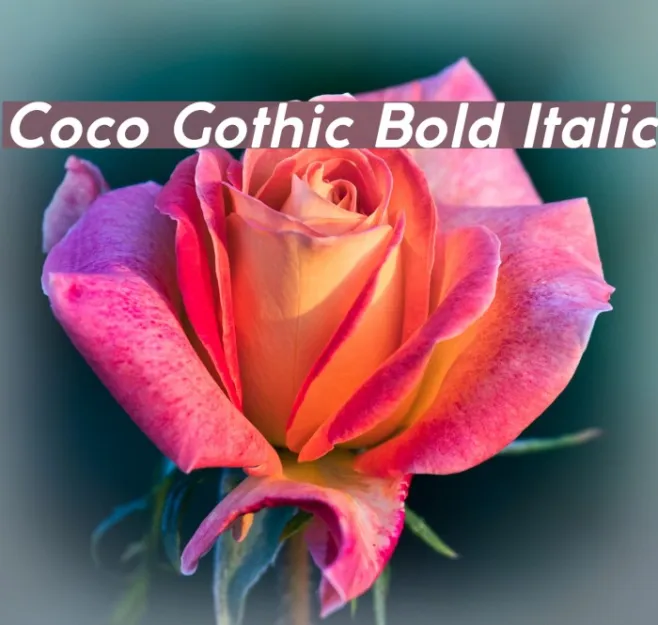 Coco Gothic Bold Italic Example 3