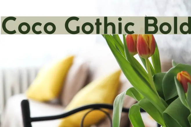 Coco Gothic Bold Example 1