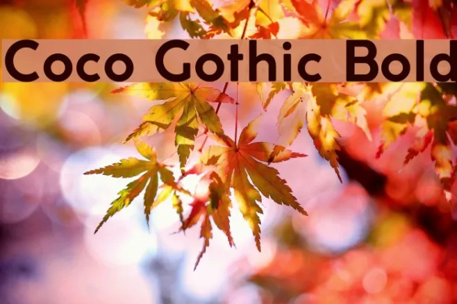 Coco Gothic Bold Example 2