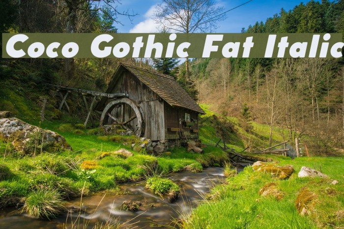 Coco Gothic Fat Italic Font examples