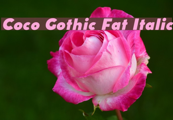 Coco Gothic Fat Italic Font examples
