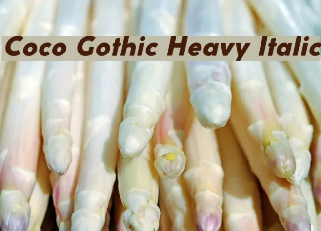 Coco Gothic Heavy Italic Example 2