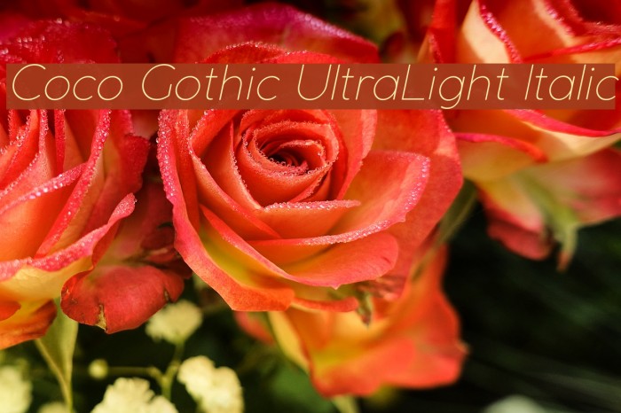 Coco Gothic UltraLight Italic Example 1