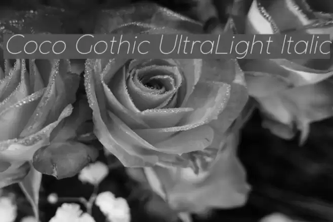 Coco Gothic UltraLight Italic Font examples