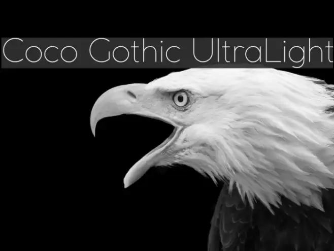 Coco Gothic UltraLight Font examples