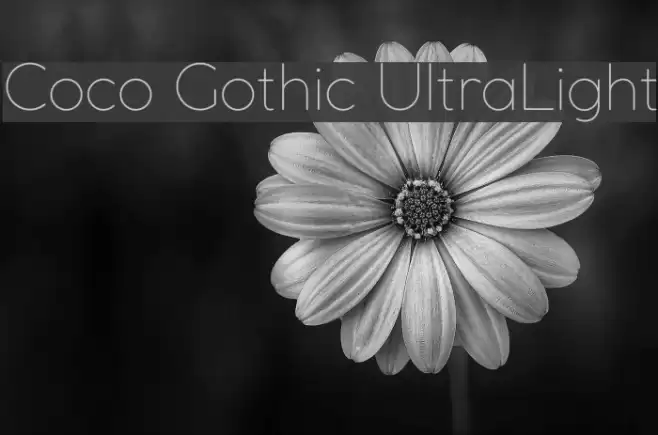 Coco Gothic UltraLight Font examples