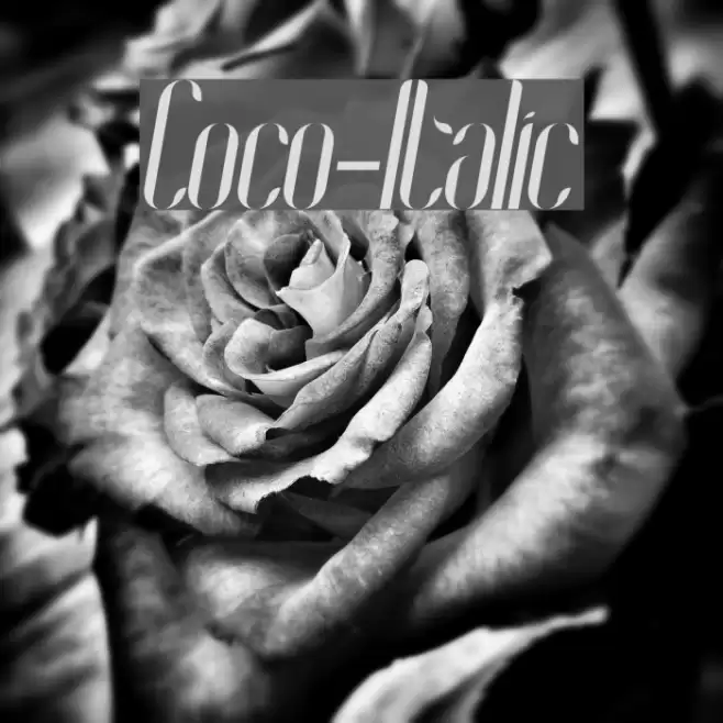 Coco-Italic Font examples