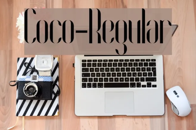 Coco-Regular Example 2