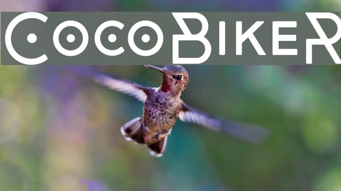 CocoBikeR Font examples