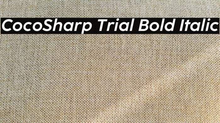 CocoSharp Trial Bold Italic Example 2