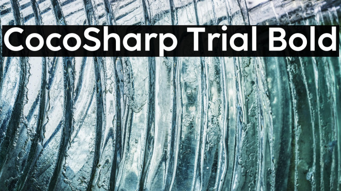 CocoSharp Trial Bold Example 1