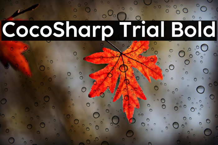 CocoSharp Trial Bold Example 2