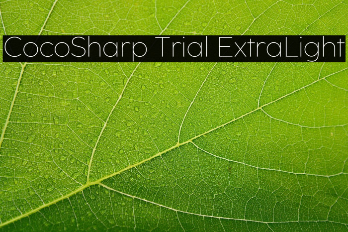 CocoSharp Trial ExtraLight Example 2