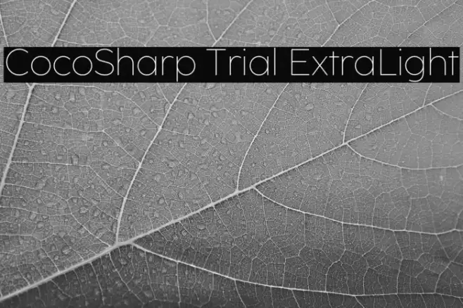 CocoSharp Trial ExtraLight Font examples