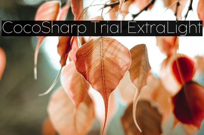 CocoSharp Trial ExtraLight Example 3