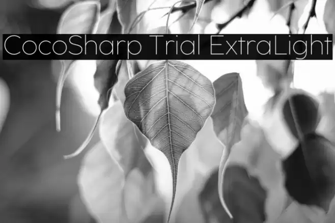 CocoSharp Trial ExtraLight Font examples