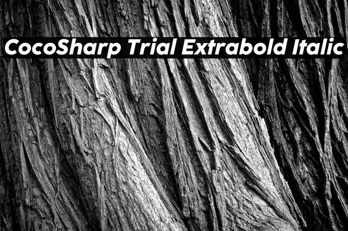 CocoSharp Trial Extrabold Italic Example 2
